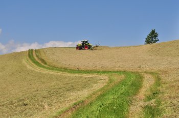 Bodenheu herstellen | P.Aeby, Grangeneuve