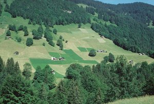 Verschiedene Wiesentypen neben einander | © Agroscope