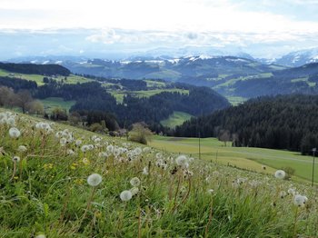 © Flükiger Anna-Katharina BE_landwirtschaft.ch