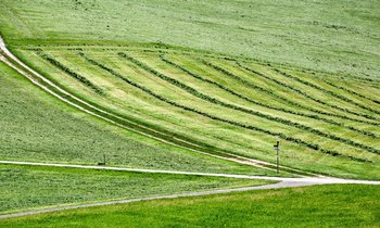 © König Werner BL_landwirtschaft.ch