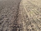 Semis direct (à droite): sol bien pratiquable. Travail du sol plus profond (à gauche): la jeune prairie semée n’a pas de concurrence; sol peu pratiquable. | © Grangeneuve